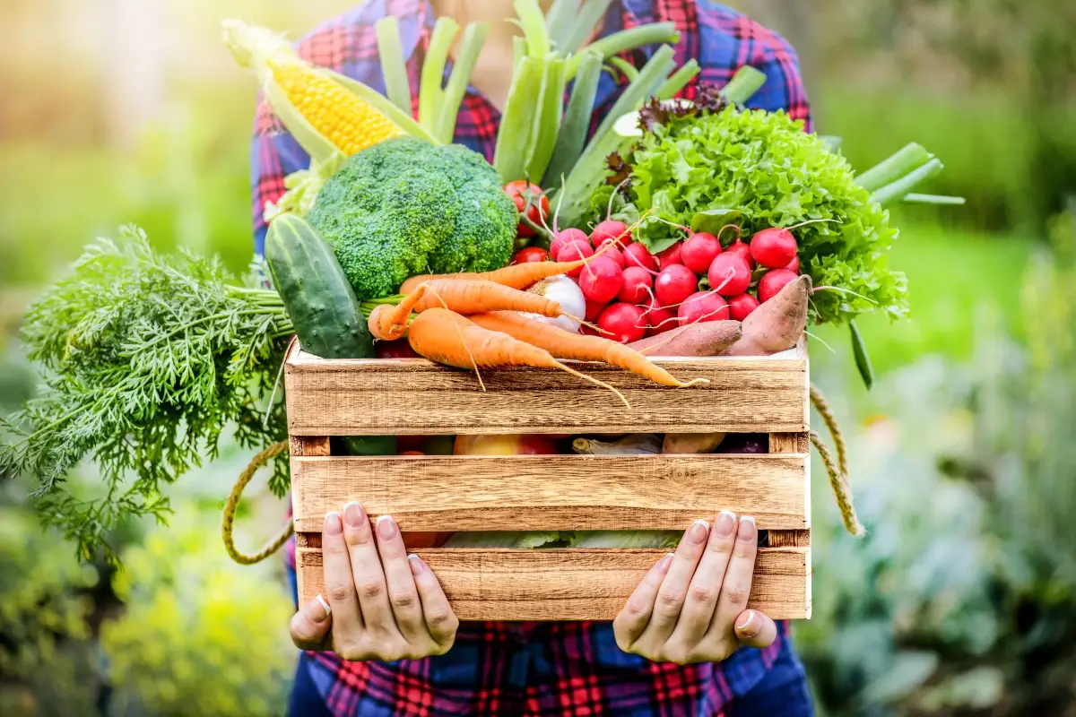 Il cibo del futuro? Sempre pi&ugrave; genuino, autentico, sostenibile