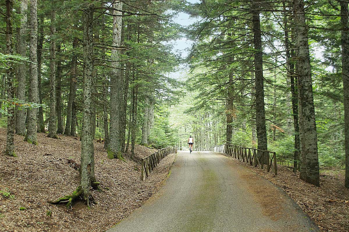 Green Road Award 2026: il premio delle ciclovie riparte dal silenzio
