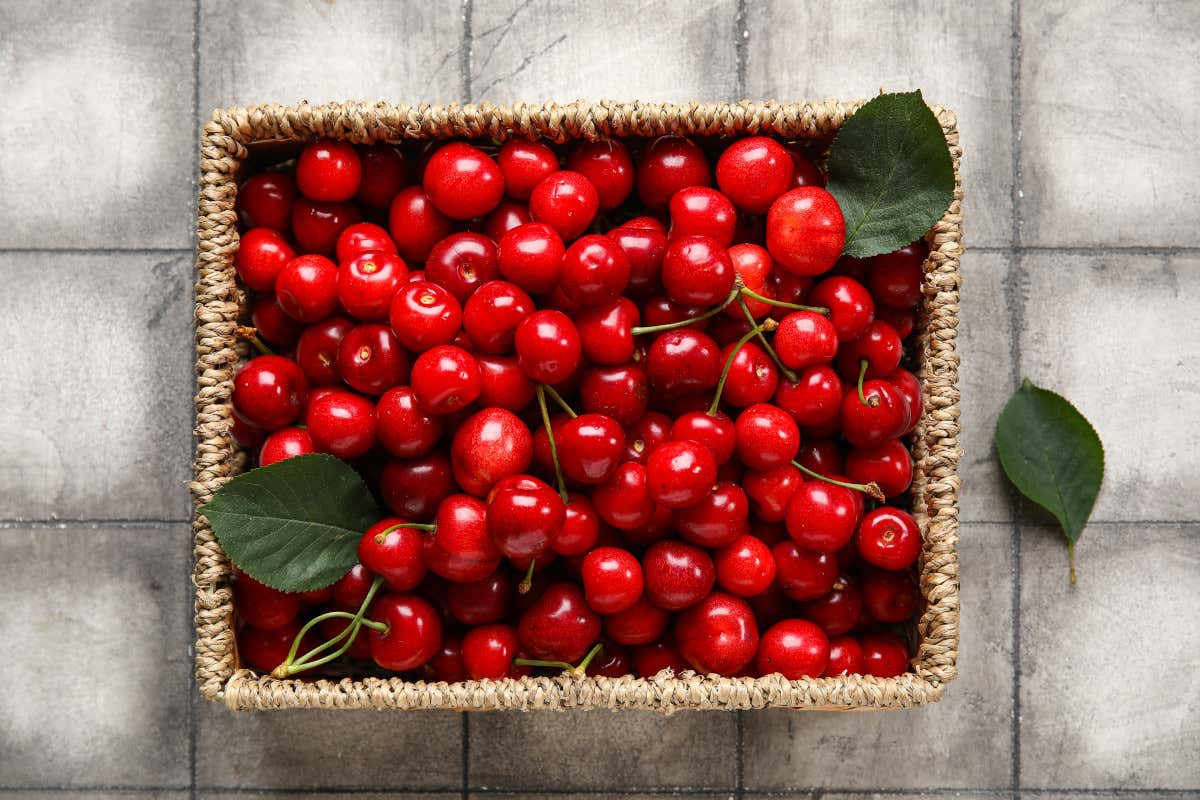 Ciliegie, il frutto che fa bene (davvero): poche calorie, tanti benefici