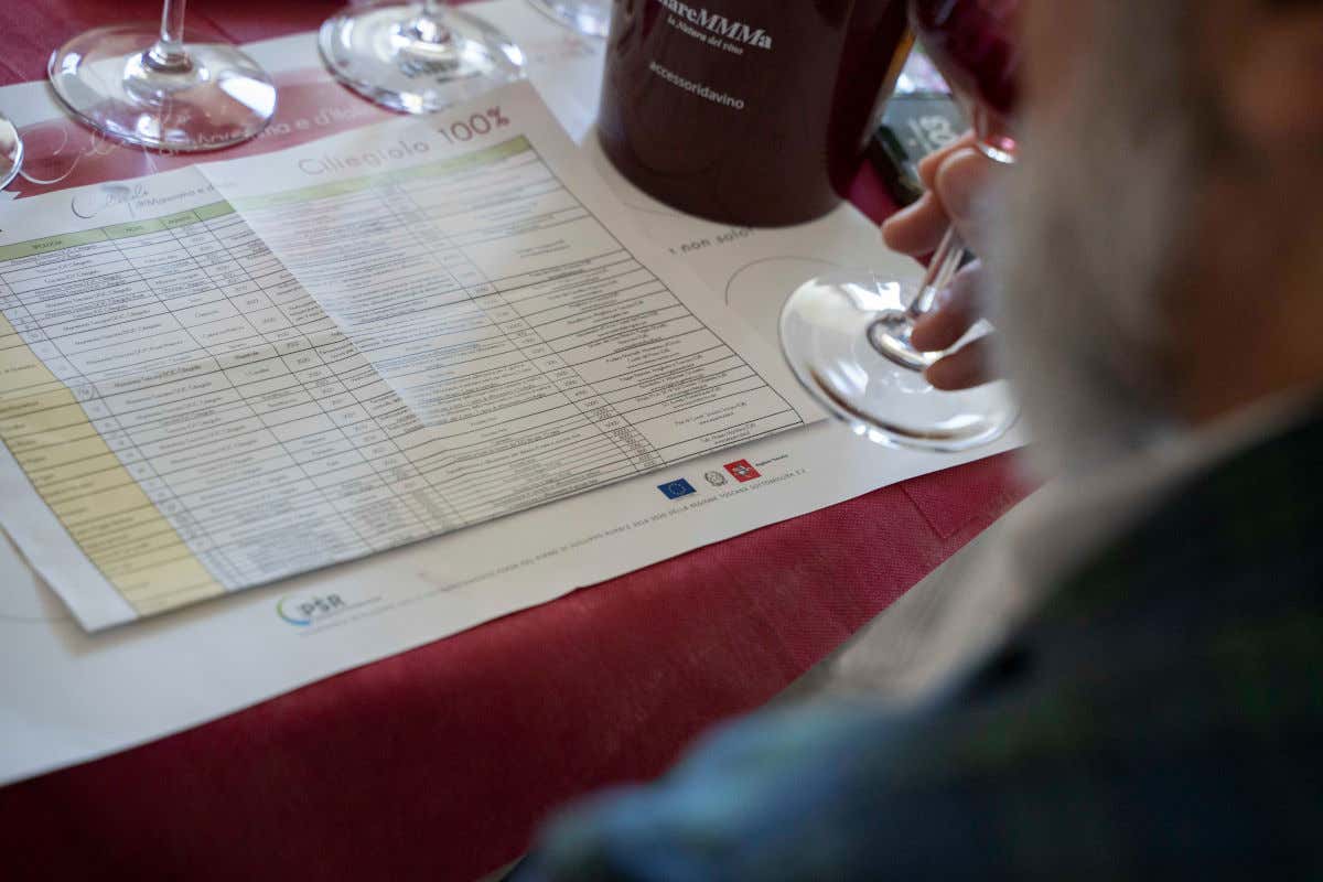 In Toscana il primo evento dedicato al Ciliegiolo di Maremma e d’Italia