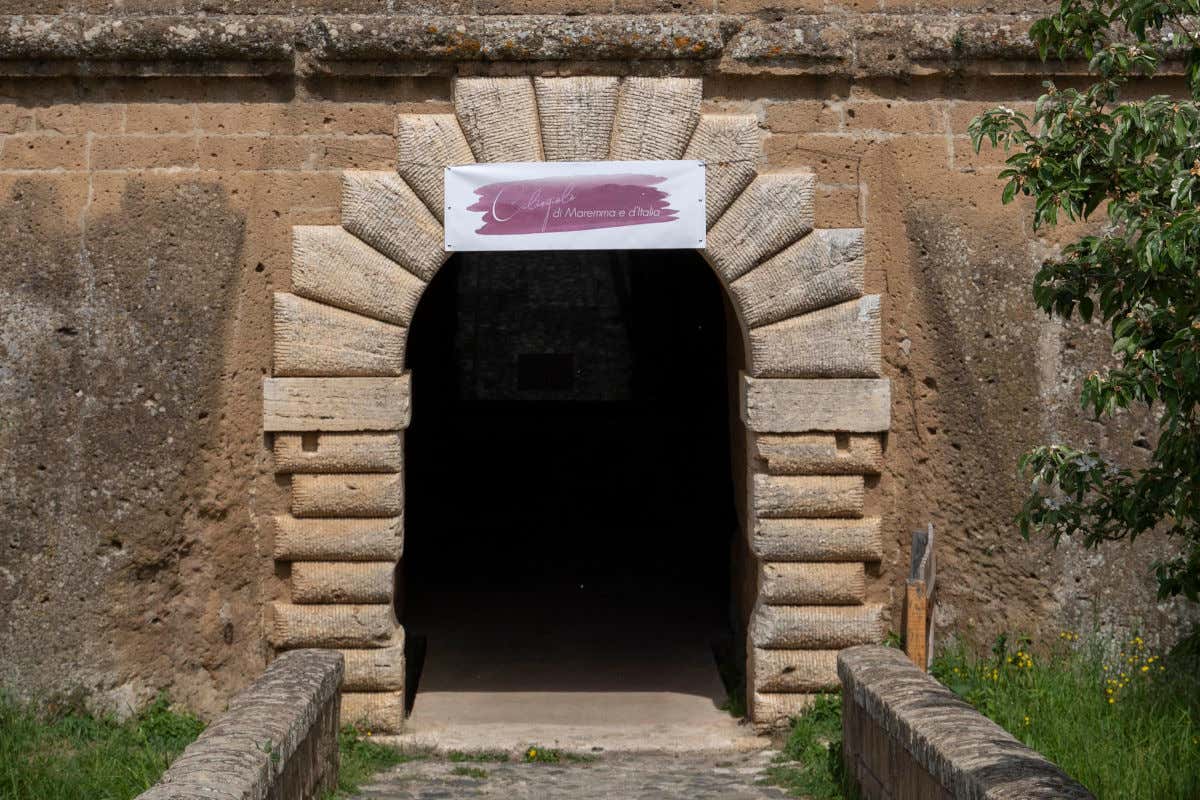In Toscana il primo evento dedicato al Ciliegiolo di Maremma e d’Italia