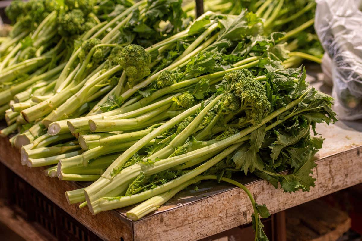 Cime di rapa: le proprietà di un ortaggio simbolo della cucina mediterranea