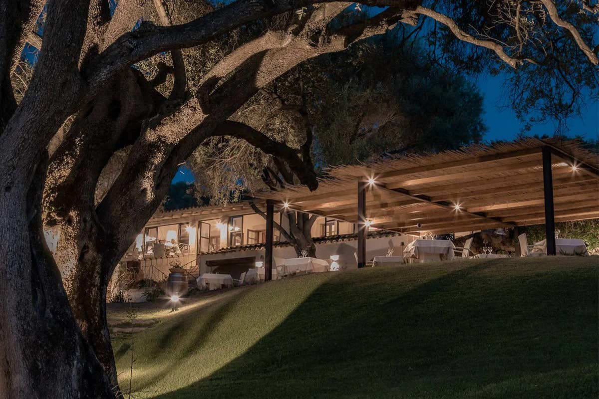 La Ciminea, dove la Sardegna di Gabriele Natali sorprende tra orto e memoria