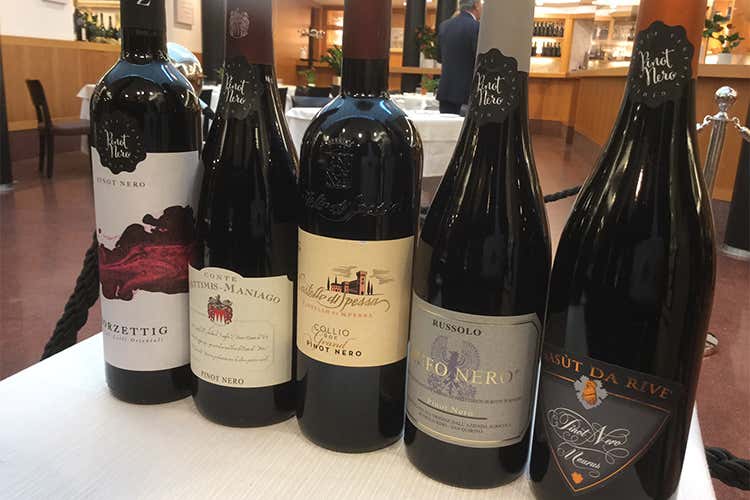 cinque eroi Pinot nero friulano cinque eroi Pinot nero friulano