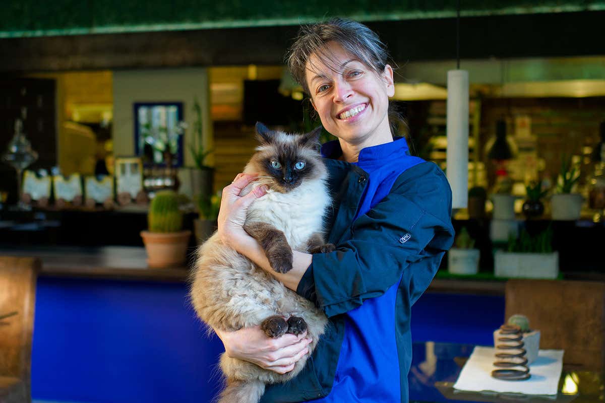 Indaco, cucina creativa e cocktail bar d'avanguardia a Riccione