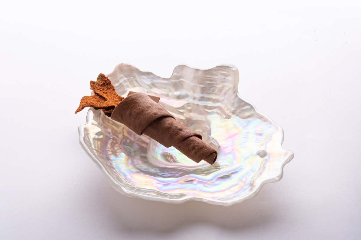 Radicchio e gorgonzola Cinzia Mancini e la sua ricerca sul mondo dei vegetali