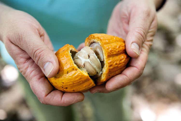 Quest'anno sar&agrave; celebrato il cioccolato peruviano (Il cioccolato peruviano ospitedella Chocolate Experience di Knam)