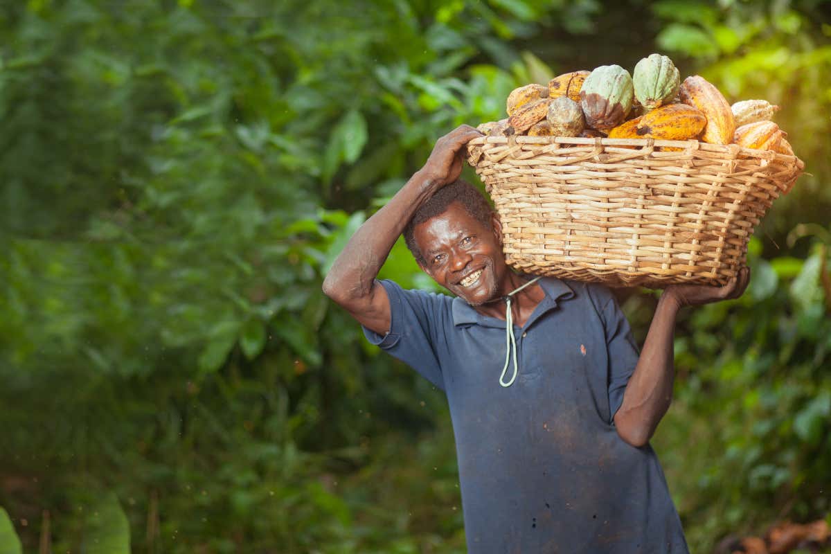 Cacao in crisi, ma il cioccolato resta un piccolo lusso che non si taglia