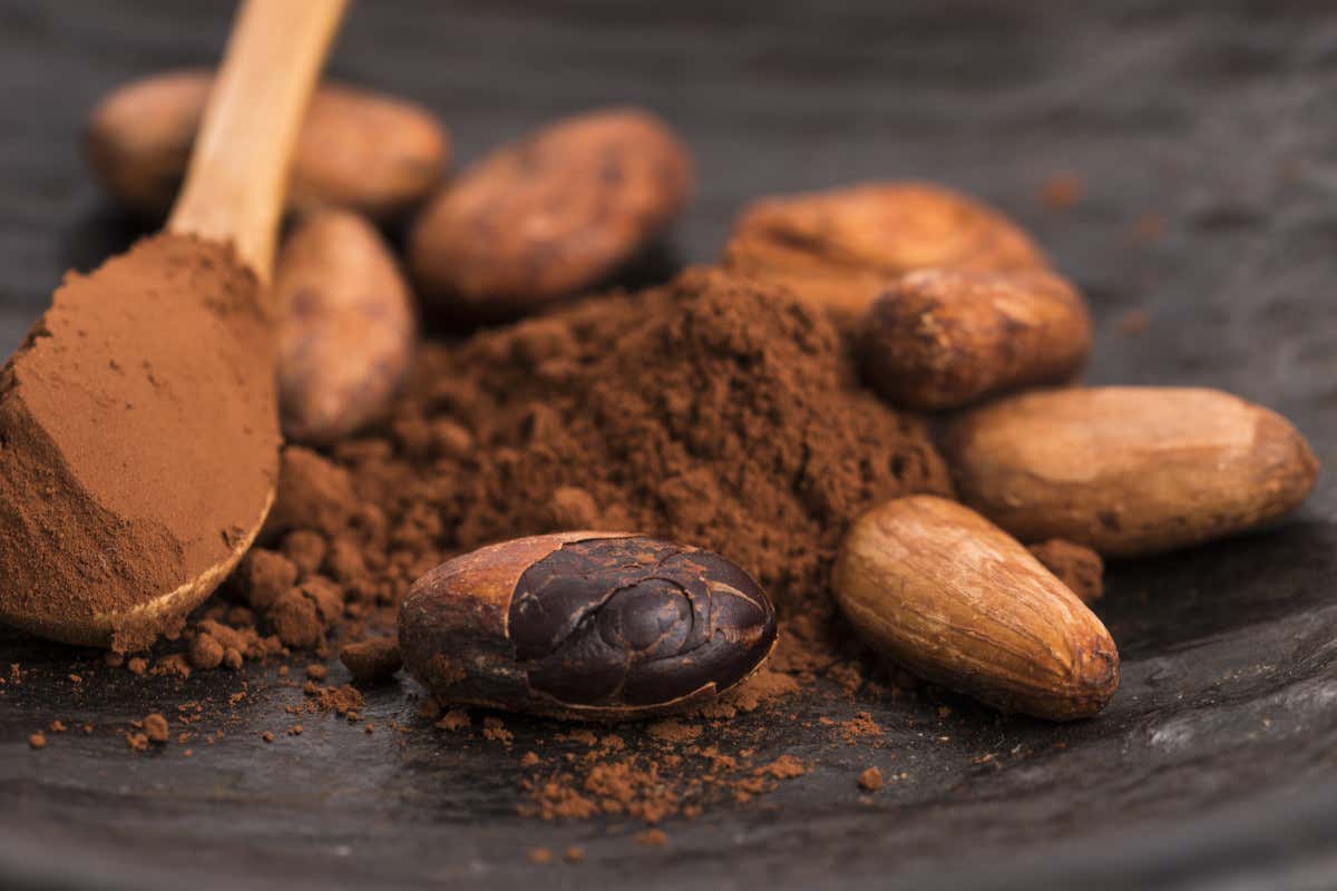 Il cacao è il protagonista delle proprietà nutrizionali del cioccolato