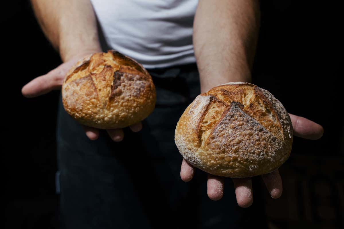 Le ciopette Con “Ciopa”, la pagnotta veneta va alla conquista di Milano
