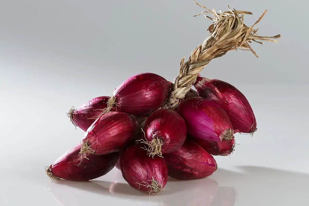 Cipolla Rossa di Tropea Calabria Igp Dalla &lsquo;nduja alla liquirizia, dal formaggio al pesce: Calabria, terra di eccellenze