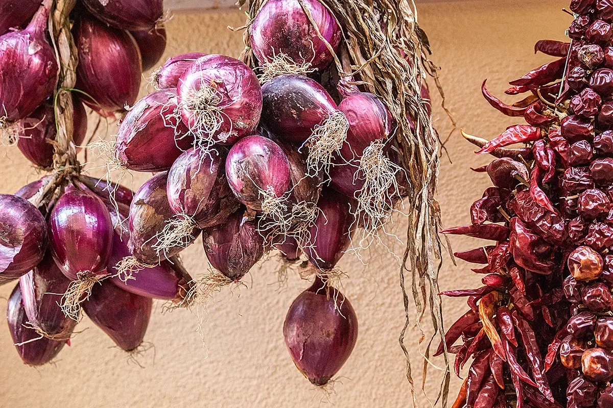 La famosa Cipolla rossa di Tropea DA FINIRE - TOUR CALABRIA