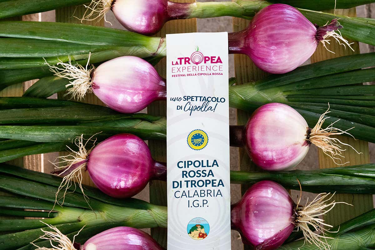 Cipolla Rossa di Tropea Calabria Igp nei piatti delle feste