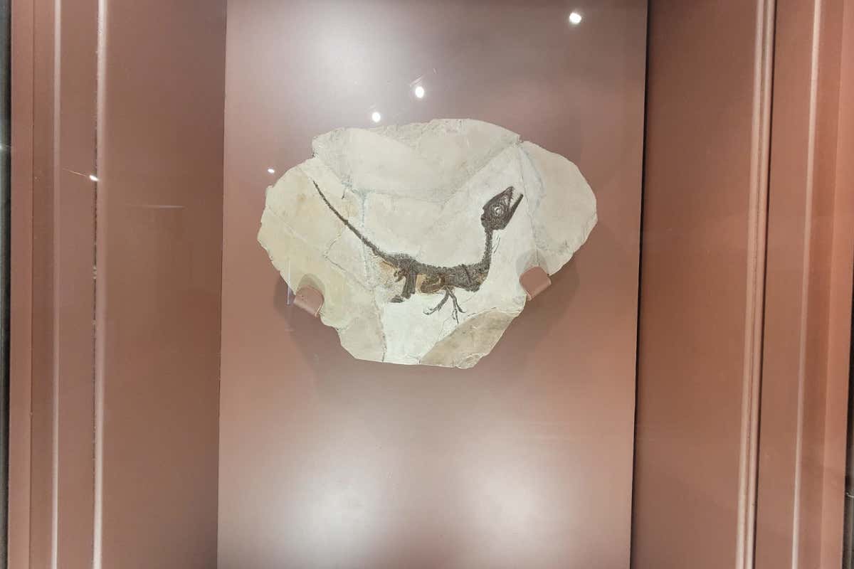 Benevento e il Sannio: vini, accoglienza e storia millenaria 