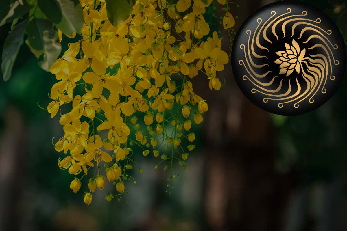 Brut 700 Lost Edition: con Cusumano  un brindisi per la biodiversità