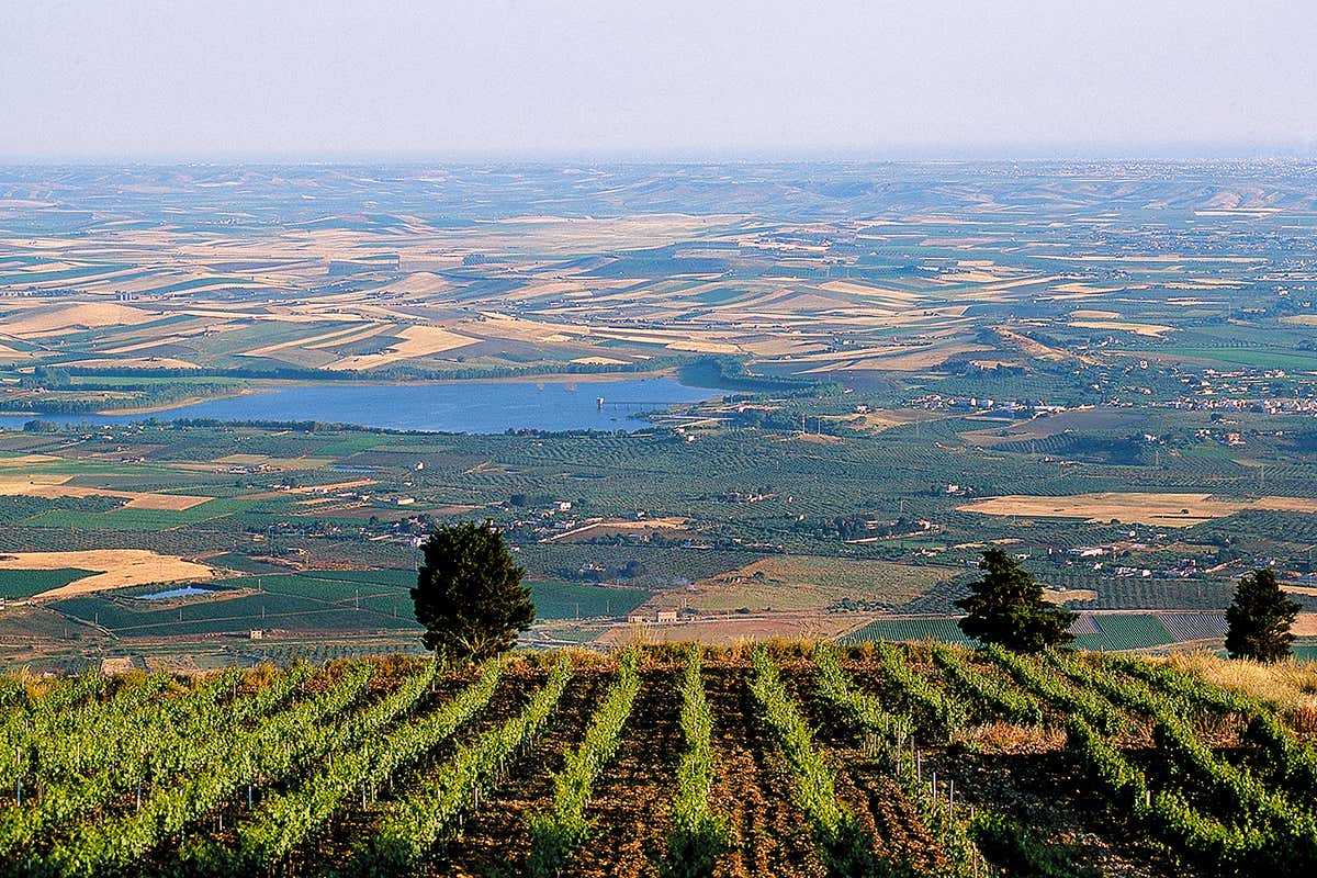 Doc Erice: come Fazio sta cambiando la mappa del vino siciliano