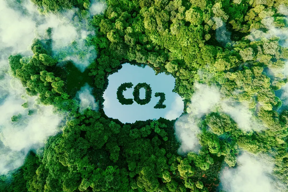 L&rsquo;anidride carbonica &egrave; ora considerata quasi alla stregua di un gas velenoso Riscaldamento globale e anidride carbonica: serpeggia un terribile sospetto