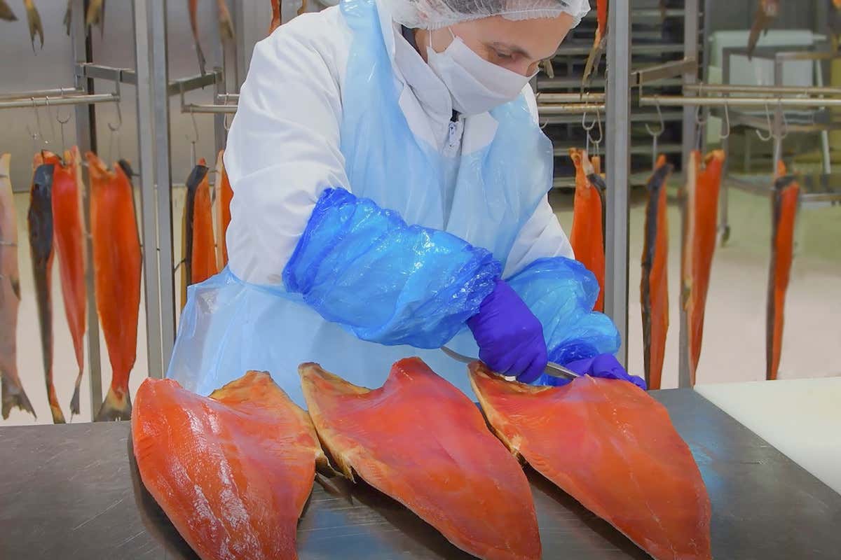 Coam, da mezzo secolo sinonimo di salmone selvaggio di qualità