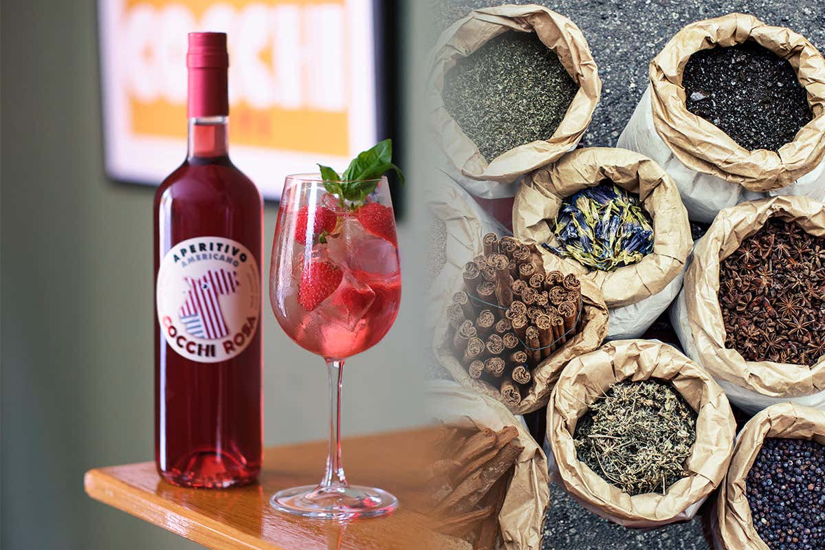 Cocchi: un'alchimia di sapori eleganti e raffinati nel mondo dei Vermouth Cocchi: un'alchimia di sapori eleganti e raffinati nel mondo dei Vermouth