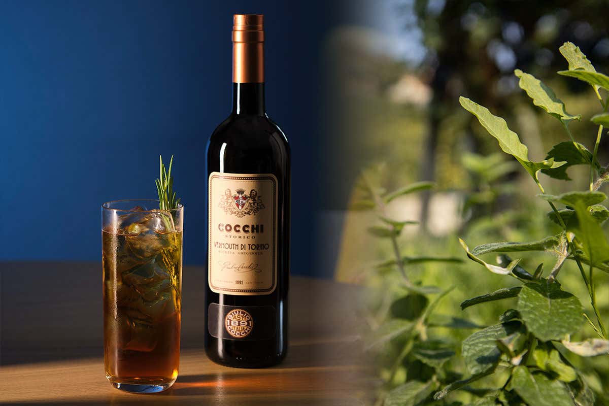 Cocchi: un'alchimia di sapori eleganti e raffinati nel mondo dei Vermouth Cocchi: un'alchimia di sapori eleganti e raffinati nel mondo dei Vermouth