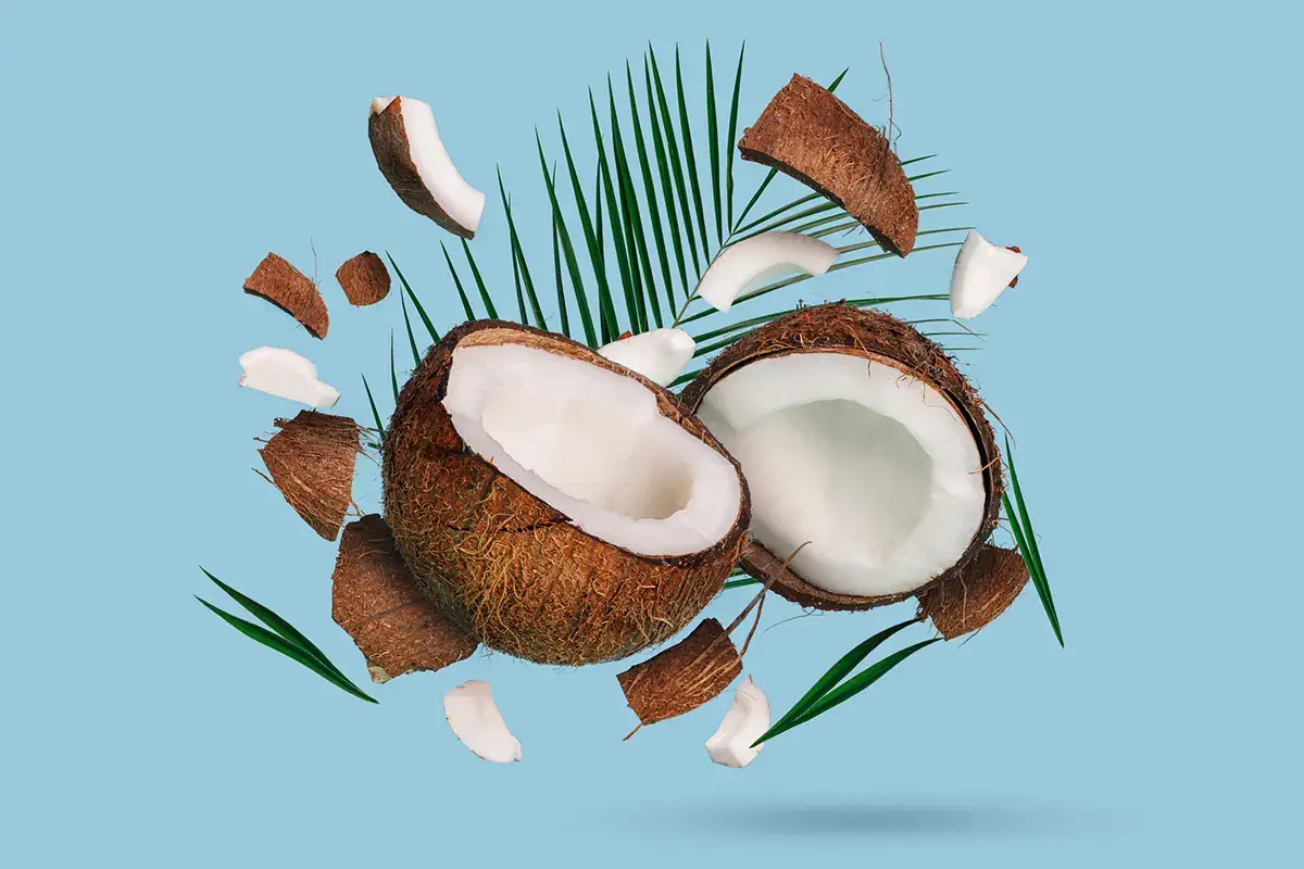 Cocco, un frutto da riscoprire per il benessere quotidiano