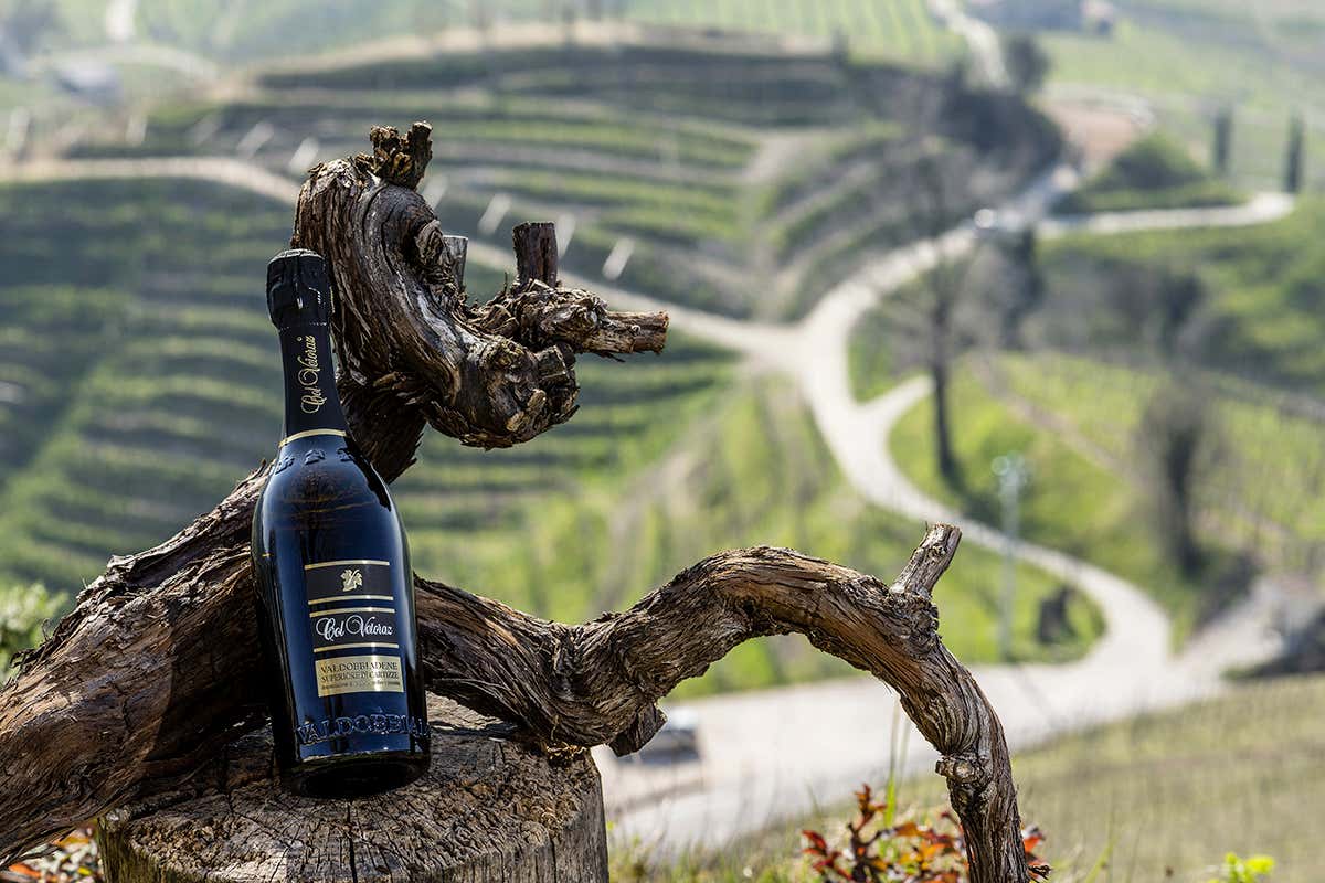 “Non si costruisce un vino, si fa nascere”: la filosofia dietro i vini di Col Vetoraz “Non si costruisce un vino, si fa nascere”: la filosofia dietro i vini di Col Vetoraz