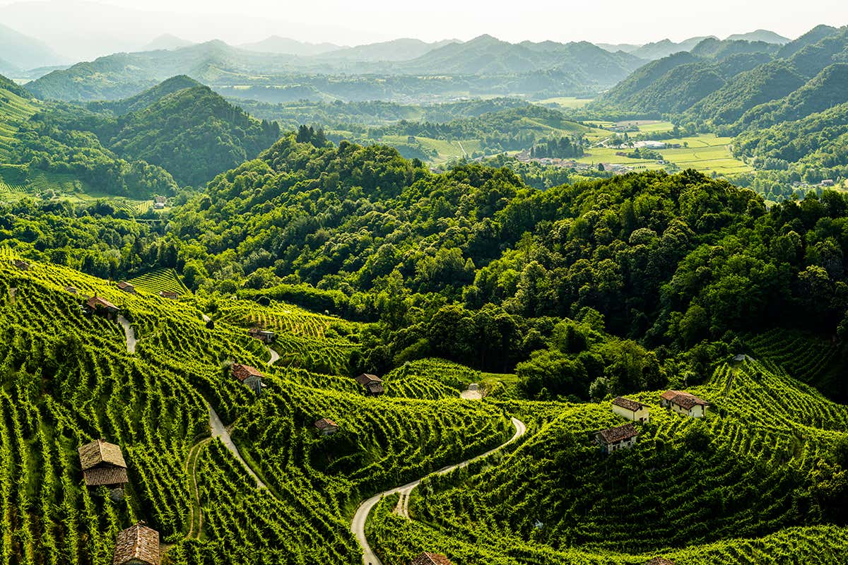 “Non si costruisce un vino, si fa nascere”: la filosofia dietro i vini di Col Vetoraz “Non si costruisce un vino, si fa nascere”: la filosofia dietro i vini di Col Vetoraz