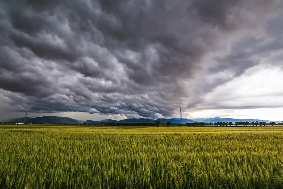 Nel 2021 sono stati 1.837 gli eventi atmosferici avversi che hanno colpito soprattutto le campagne Meteo e nubifragi, allarme nelle campagne: 1.837 eventi avversi nel 2021