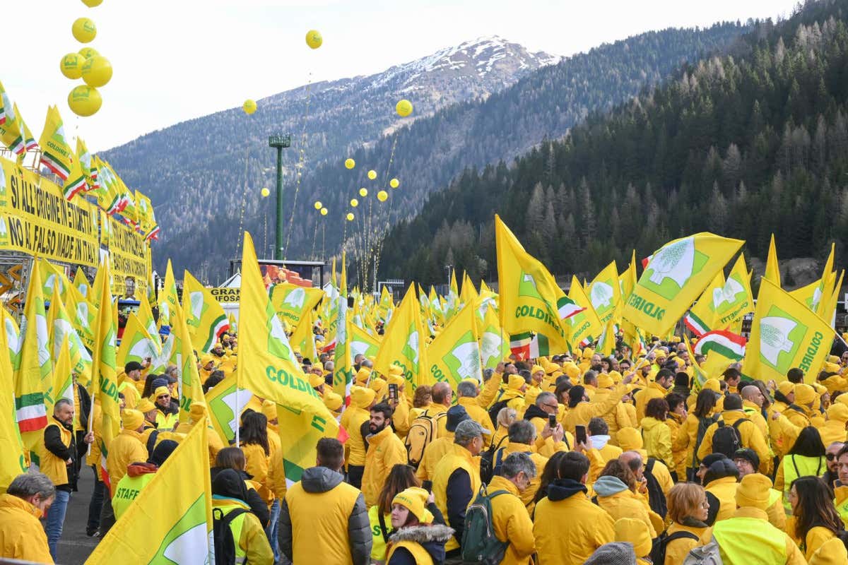 Tir degli orrori al Brennero: sequestrato cibo straniero spacciato come italiano