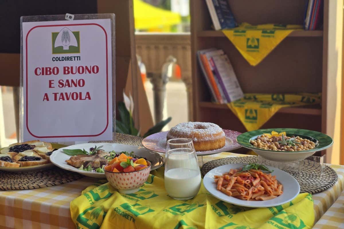 Manifesto per scuole più sane: stop cibi spazzatura e ultraprocessati in mensa Manifesto per scuole più sane: stop cibi spazzatura e ultraprocessati in mensa