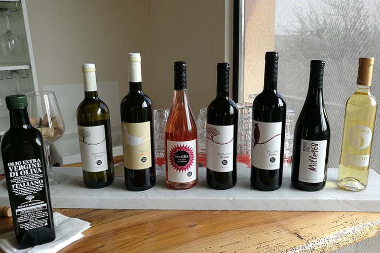 Olio e vino prodotti dall'azienda (Colle di Bordocheo, olio e vino nascono nella campagna lucchese)