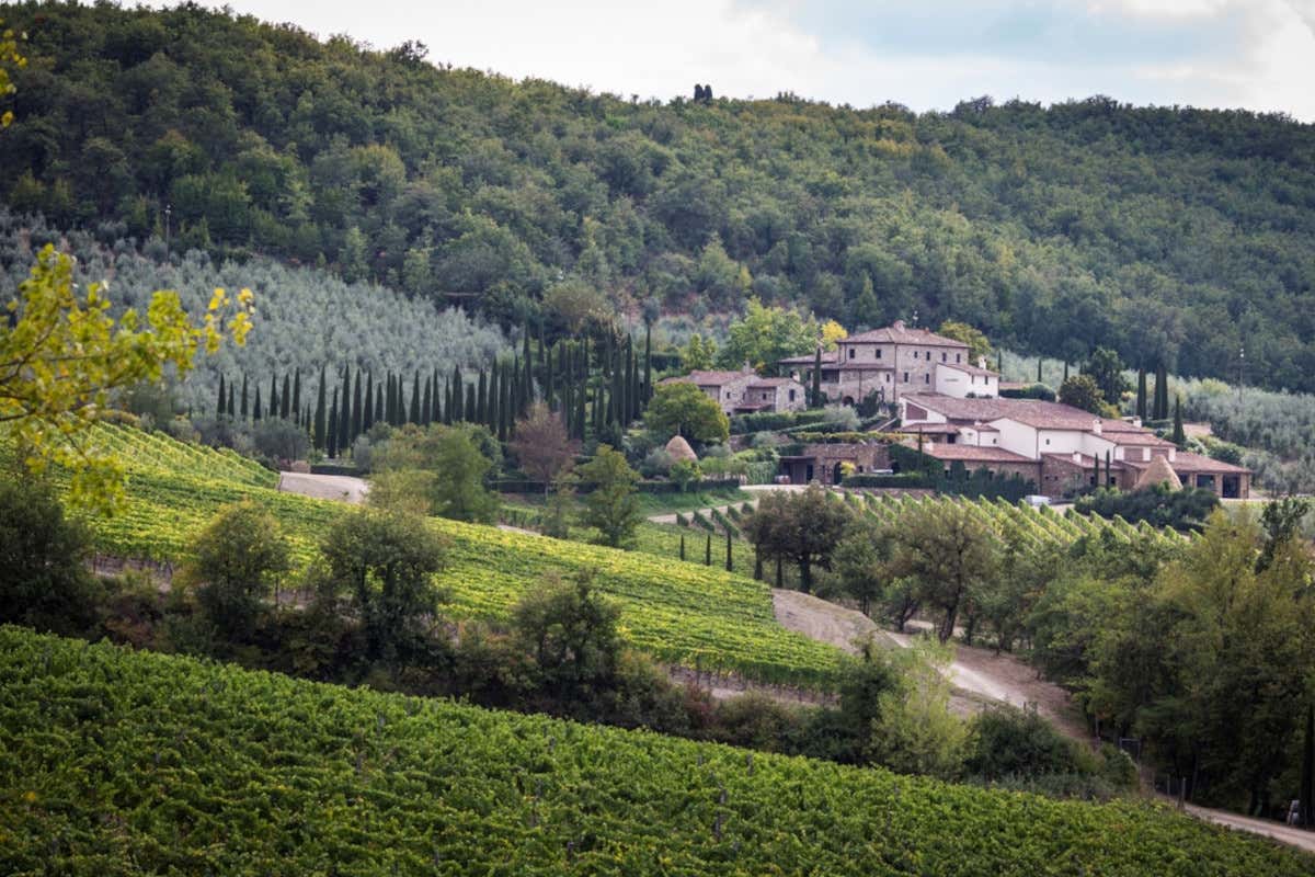 Dalla moda al vino: il Chianti raccontato dalla famiglia Pinzauti a Colle Bereto