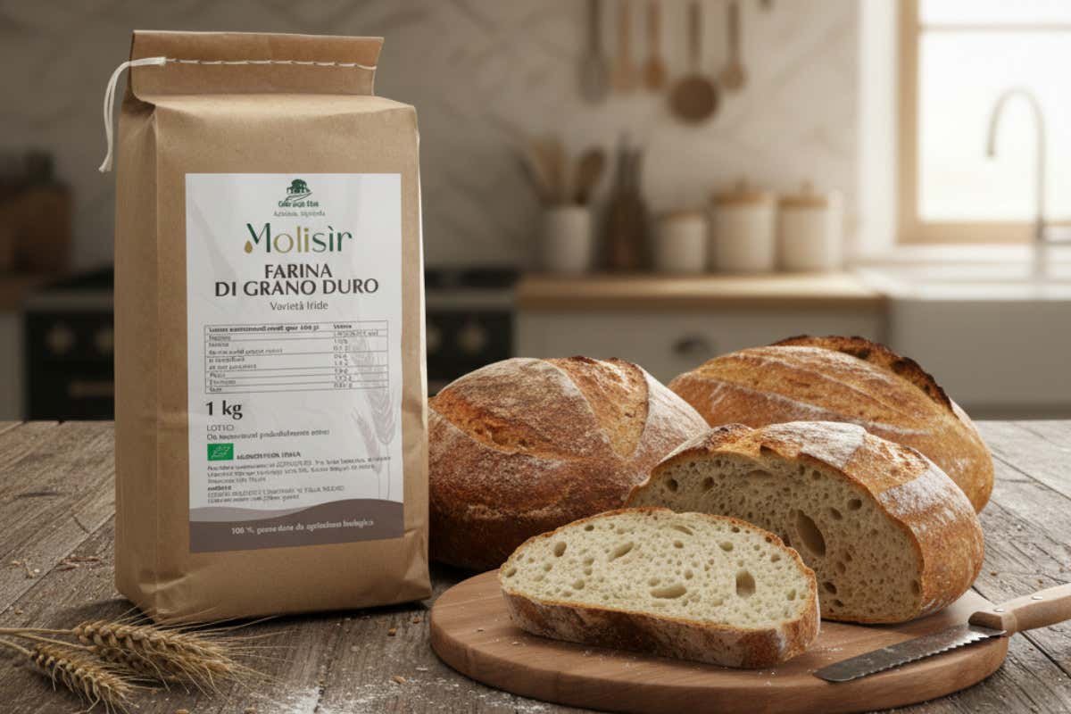 La farina di grano duro