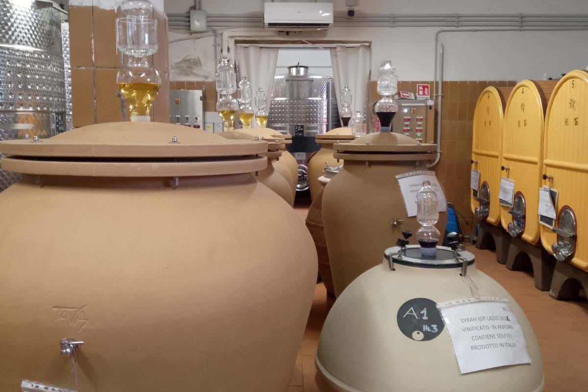 Colle di Maggio: l'azienda vinicola che racconta il Lazio in bottiglia Colle di Maggio: l'azienda vinicola che racconta il Lazio in bottiglia