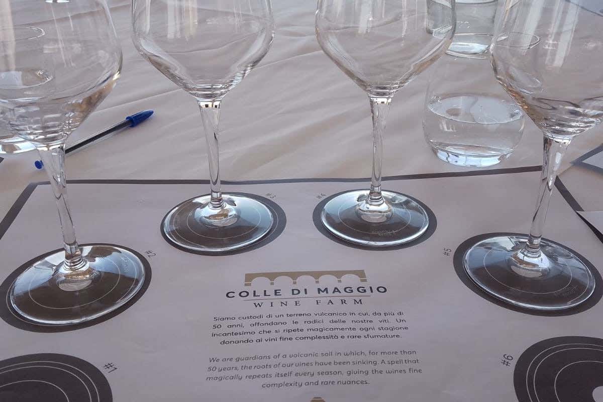 Colle di Maggio: l'azienda vinicola che racconta il Lazio in bottiglia Colle di Maggio: l'azienda vinicola che racconta il Lazio in bottiglia