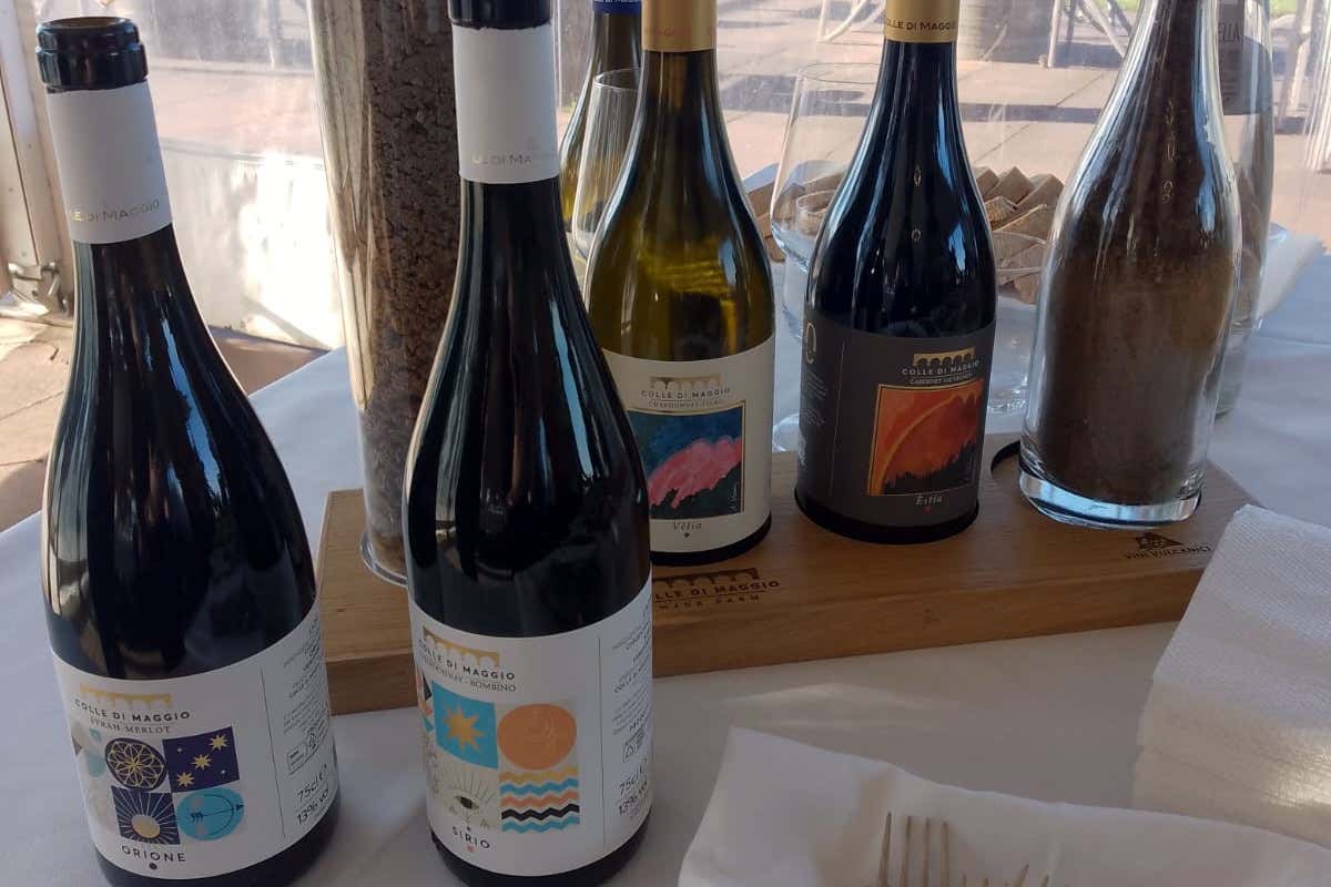 Colle di Maggio: l'azienda vinicola che racconta il Lazio in bottiglia Colle di Maggio: l'azienda vinicola che racconta il Lazio in bottiglia