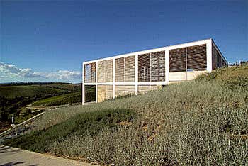 Cantina Collemassari