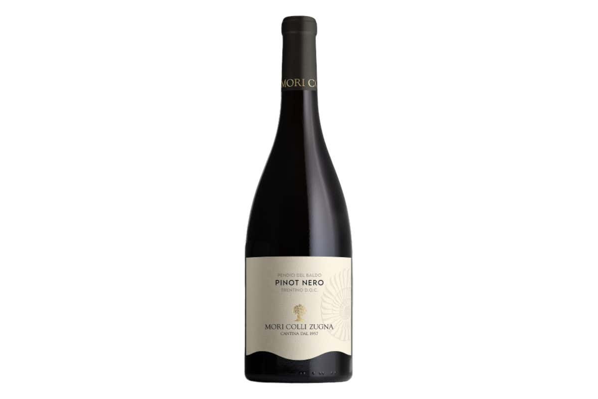 Pinot Nero 2023 Pendici del Baldo Trentino Doc di Mori Colli Zugna Pinot Nero 2023 Pendici del Baldo Trentino Doc di Mori Colli Zugna