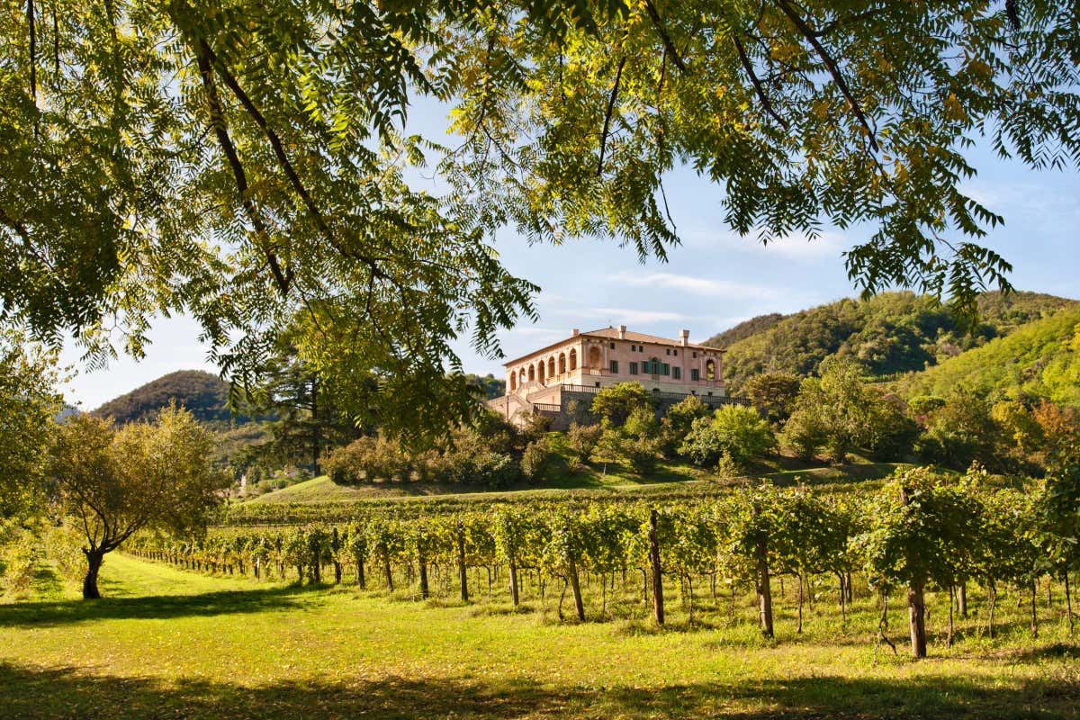 Bellezze artistiche e culturali da ammirare Colli Euganei, dal cibo al vino passando per le terme. Turismo a 360 gradi