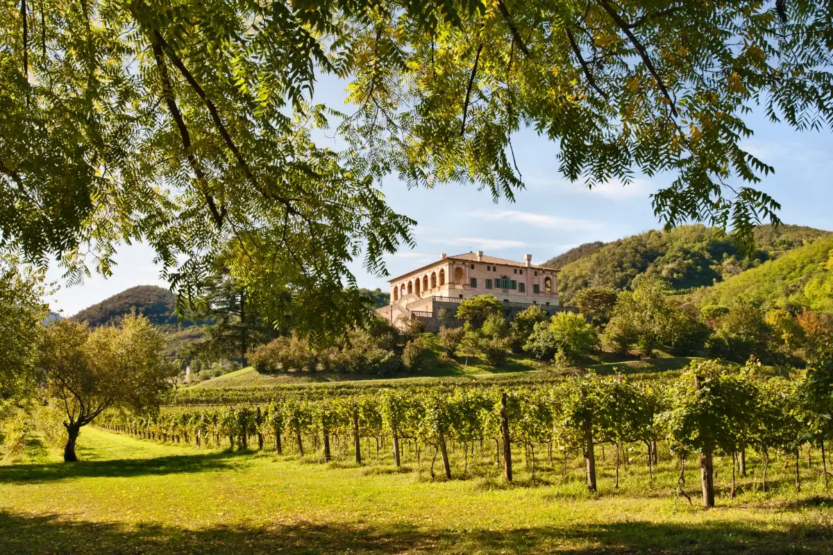 Bellezze artistiche e culturali da ammirare Colli Euganei, dal cibo al vino passando per le terme. Turismo a 360 gradi