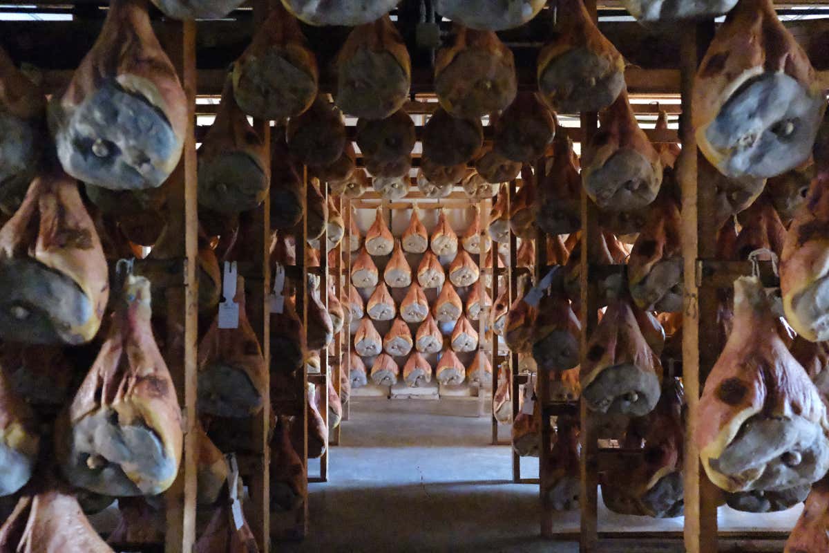 Il salumificio Colli Euganei, dal cibo al vino passando per le terme. Turismo a 360 gradi