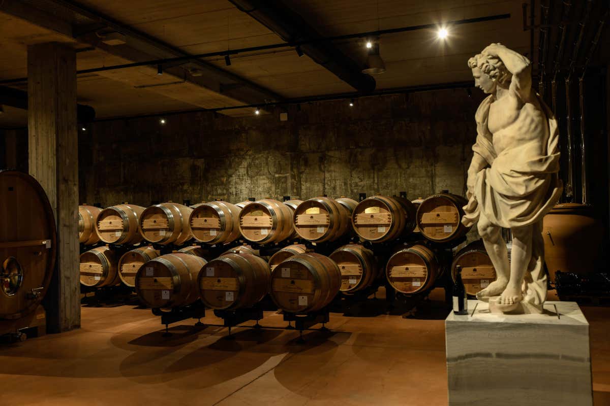 La cantina de La Collina dei Ciliegi