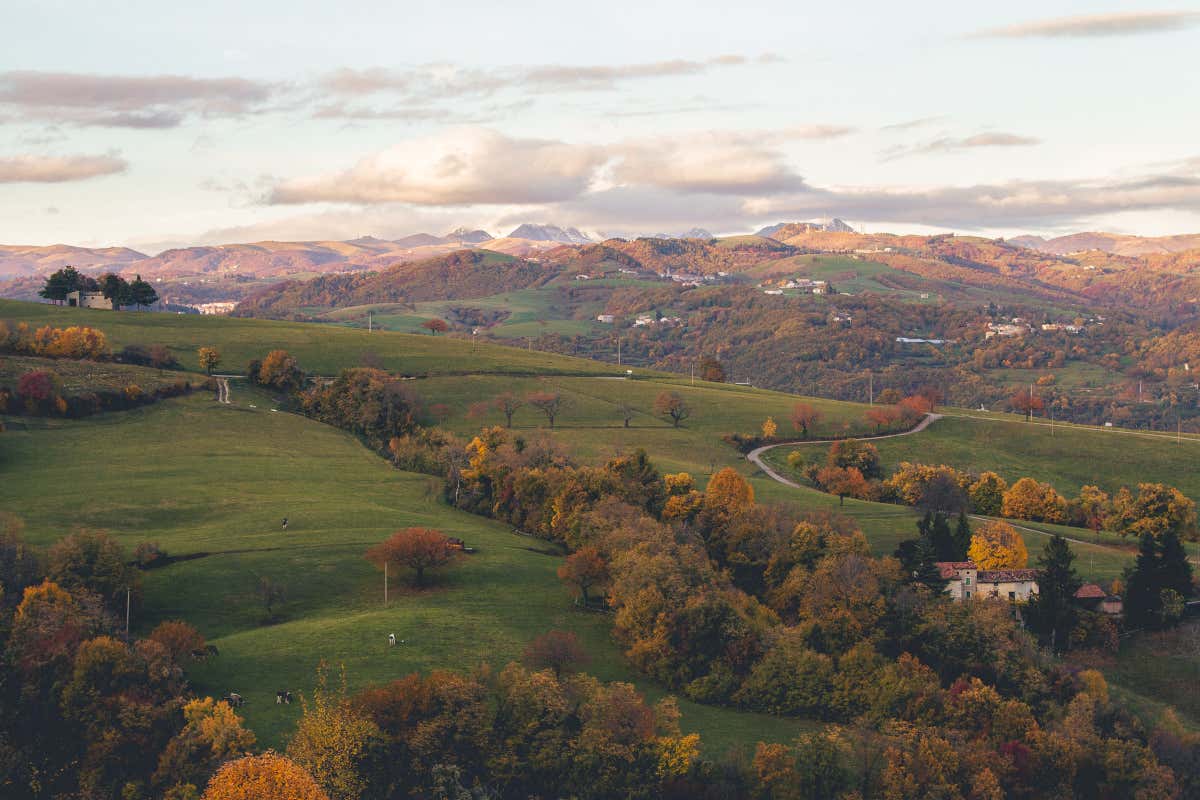 Le colline del veronese dove sorge il Wine resort La Collina dei Ciliegi