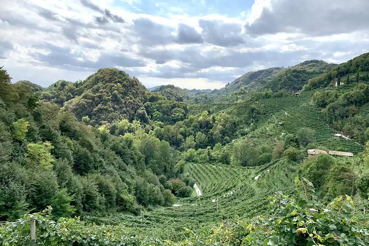 Localit&agrave; Collag&ugrave;, nel territorio del Prosecco Superiore di Conegliano Le pratiche virtuose di Perlage Winery e Amorim Cork Italia