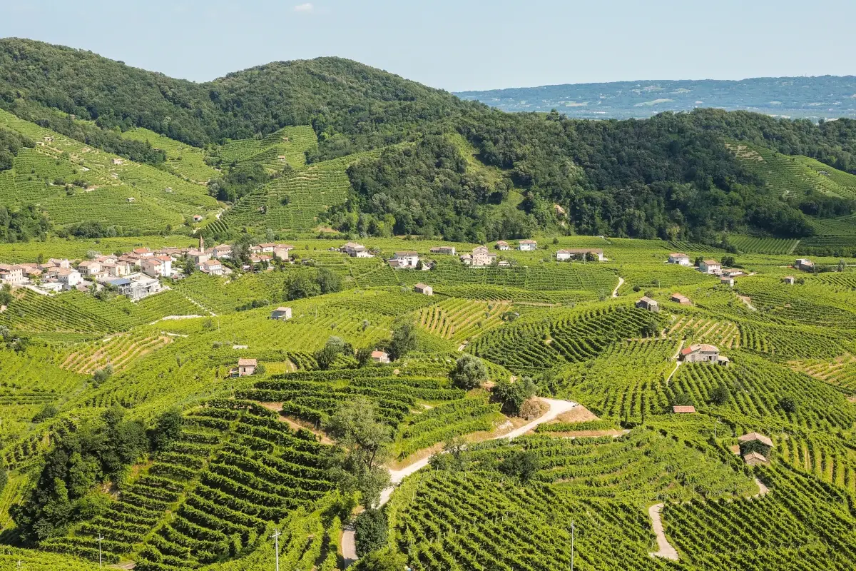 Le colline venete Giornata dei Colli Veneti: 200 eventi alla scoperta del patrimonio locale