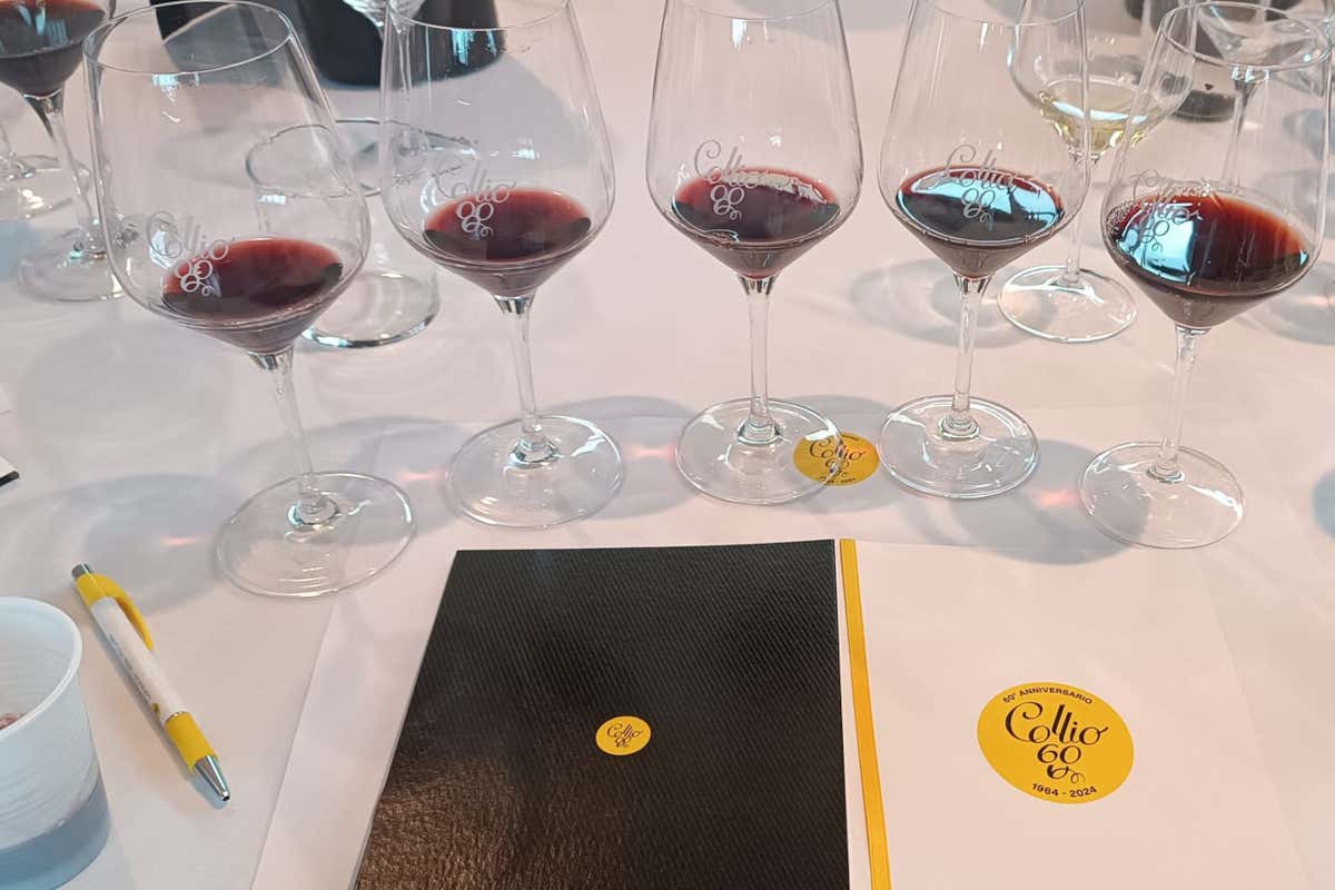 Collio: un viaggio lungo 60 anni per celebrare una grande tradizione vinicola