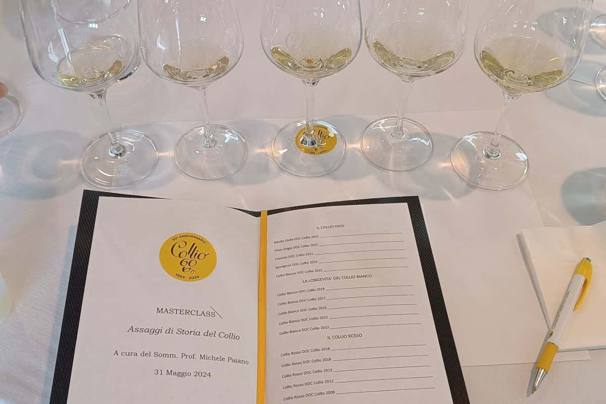 Collio: un viaggio lungo 60 anni per celebrare una grande tradizione vinicola