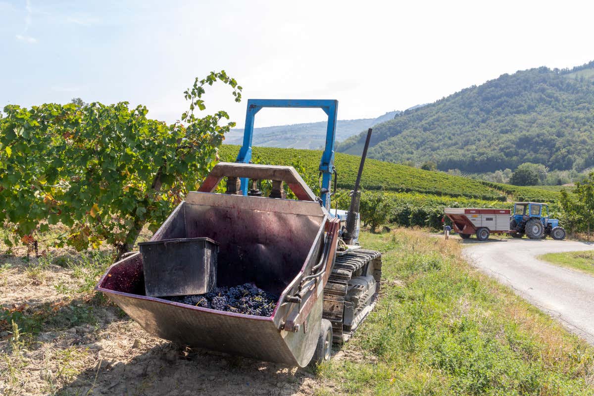 Terre d’Oltrepò, il rilancio passa dal Veneto? Collis raccoglie consensi tra i viticoltori