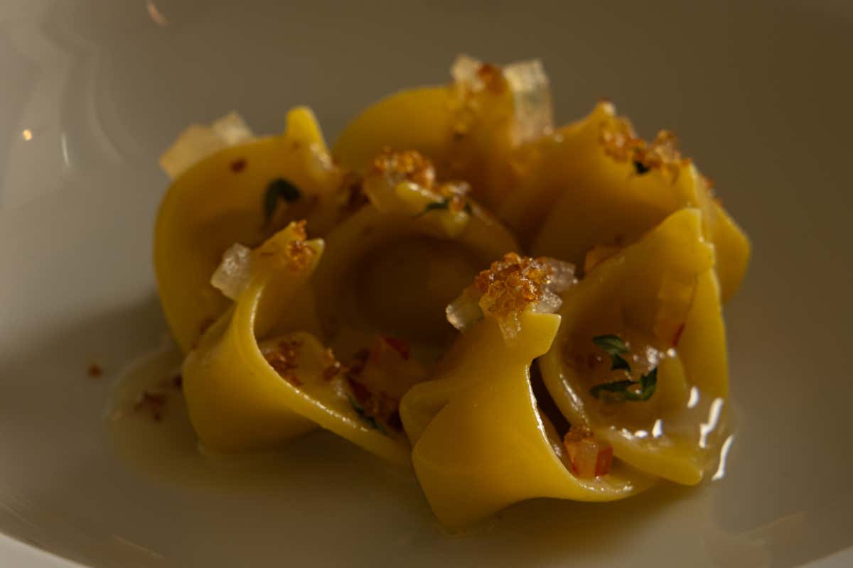 Cappelletti ripieni di farcia di pinoli, mela, salsa di mela acida, timo e scalogno, con burro all’aringa