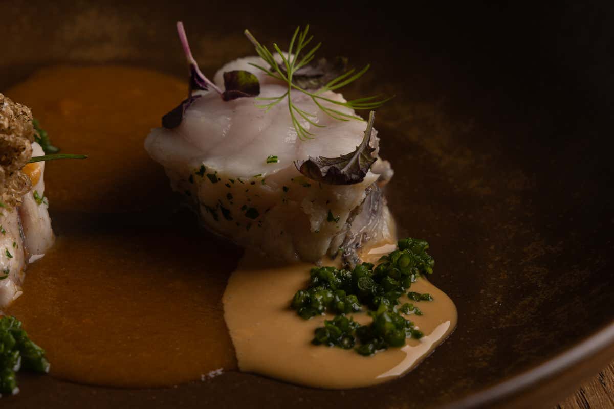 Rana pescatrice, in un'acqua profumata con salicornia, sedano, salsa albufera, fegato di rana e tartufo